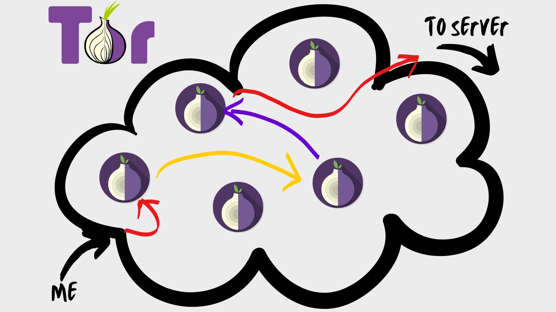 A tor circuit